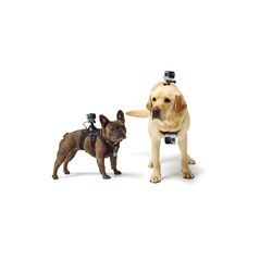 Fetch Dog Harness / Ham pentru caini cu prindere quick-release pentru GoPro GP203